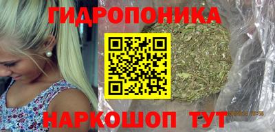 apvp Гусь-Хрустальный