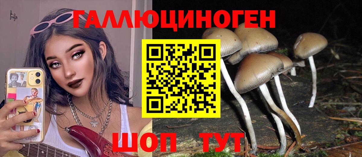 Галлюциногенные грибы мицелий  Вход с VPN  Ефремов  Псилоцибиновые грибы GOLDEN TEACHER 